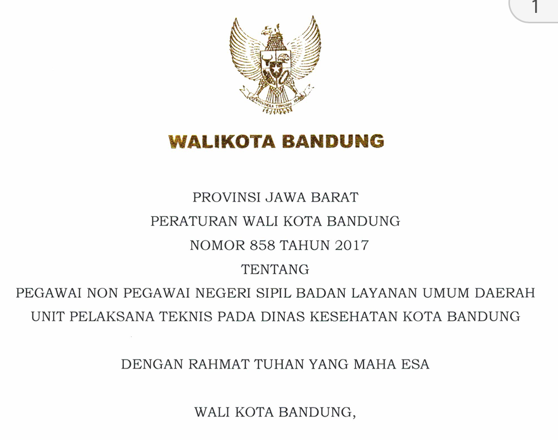 Cover PEGAWAI NON PEGAWAI NEGERI SIPIL BADAN LAYANAN UMUM DAERAH UNIT PELAKSANA TEKNIS PADA DINAS KESEHATAN BANDUNG